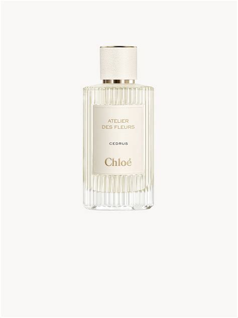 chloe bouquet|Chloe Women's Atelier Des Fleurs .